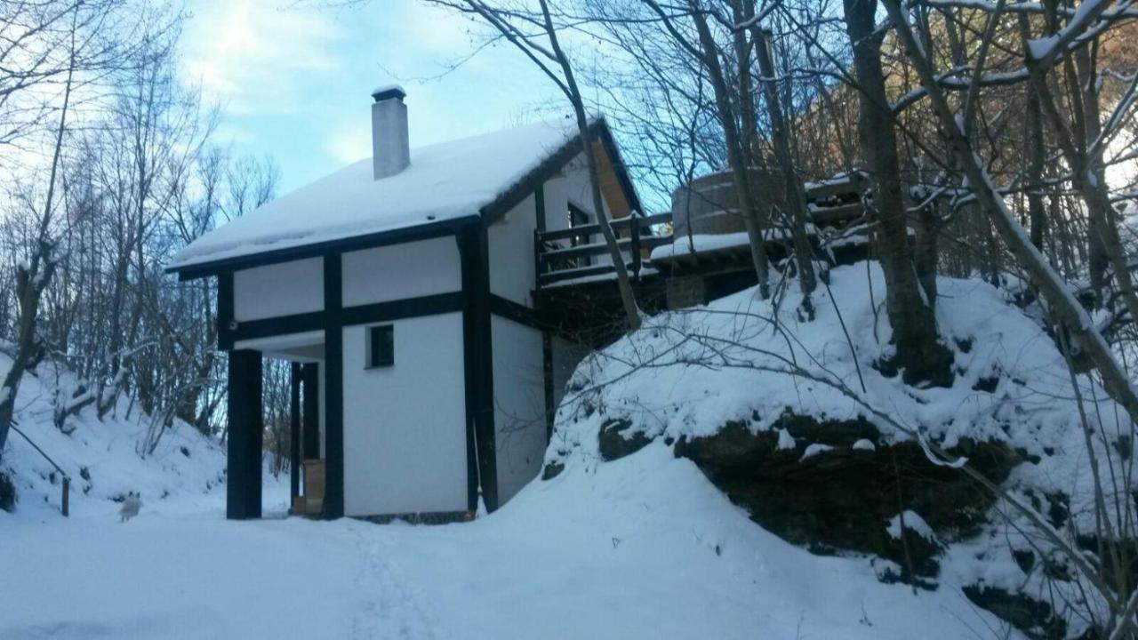Cabana Crenguta Sibiu Exterior photo